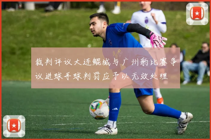 裁判评议大连鲲城与广州豹比赛争议进球手球判罚应予以无效处理