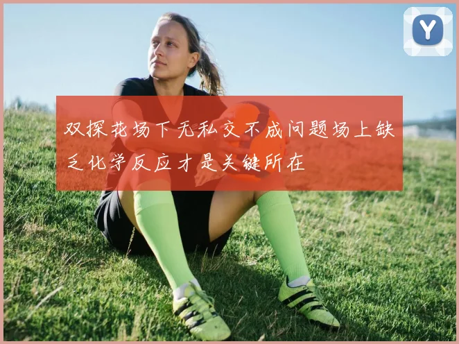 双探花场下无私交不成问题场上缺乏化学反应才是关键所在