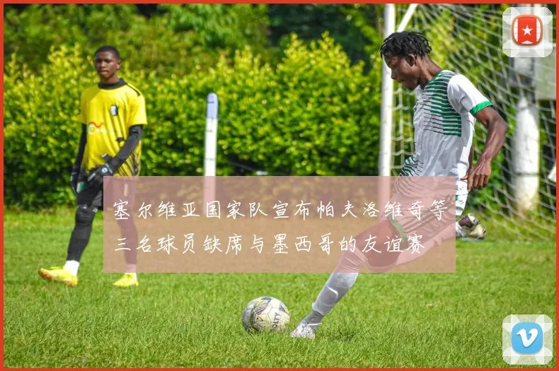 塞尔维亚国家队宣布帕夫洛维奇等三名球员缺席与墨西哥的友谊赛