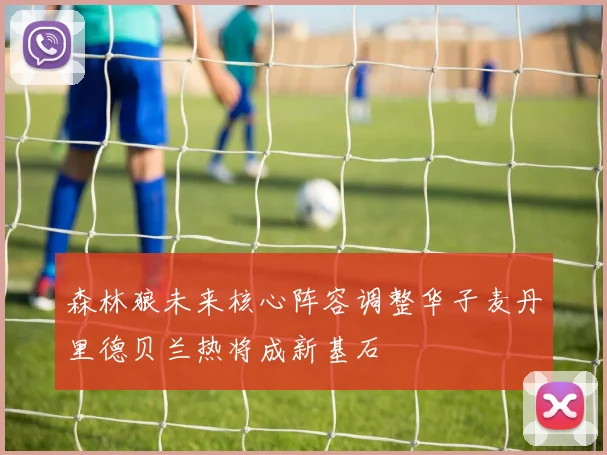 森林狼未来核心阵容调整华子麦丹里德贝兰热将成新基石